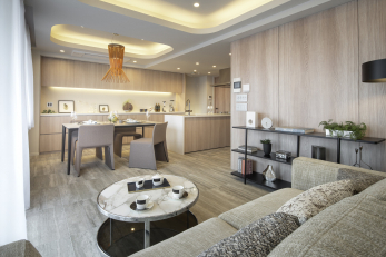 �@���r���O�_�C�j���O