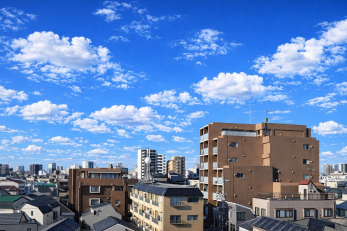 �@�y��������̒��]�z���]�ǍD�I�O�ʂɍ����������������߁A�J��������