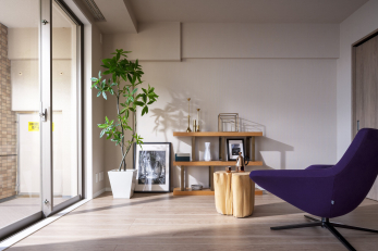 �@�y���f�����[���E���юQ�l�ʐ^/���r���O�_�C�j���O�z